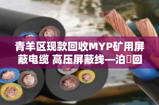 青羊区现款回收MYP矿用屏蔽电缆 高压屏蔽线—泊祎回收让闲置物资变废为宝 青羊区现款回收MYP矿用屏蔽电缆 高压屏蔽线—泊祎回收让闲置物资变废为宝
