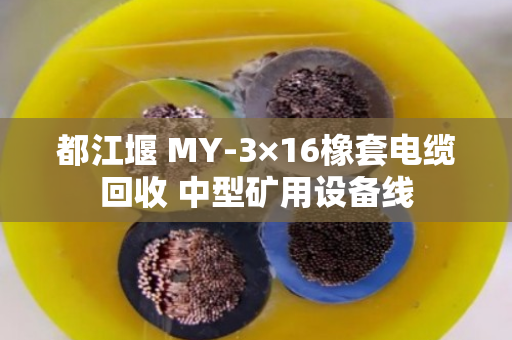 都江堰 MY-3×16橡套电缆回收 中型矿用设备线