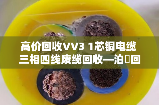 高价回收VV3 1芯铜电缆 三相四线废缆回收—泊祎回收让废电缆变活钱