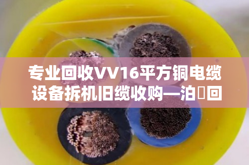 专业回收VV16平方铜电缆 设备拆机旧缆收购—泊祎回收让废旧电缆变废为宝 专业回收VV16平方铜电缆 设备拆机旧缆收购—泊祎回收让废旧电缆变废为宝