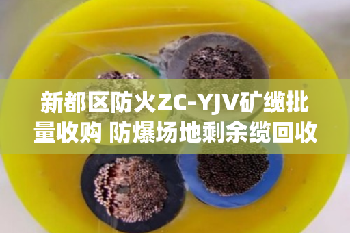 新都区防火ZC-YJV矿缆批量收购 防爆场地剩余缆回收 新都区防火ZC-YJV矿缆批量收购 防爆场地剩余缆回收