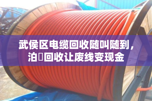 武侯区电缆回收随叫随到,泊祎回收让废线变现金 武侯区电缆回收随叫随到,泊祎回收让废线变现金