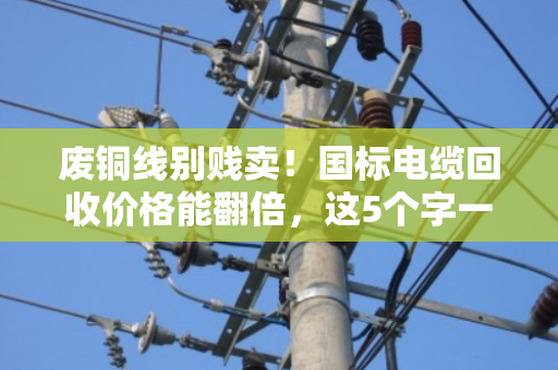 废铜线别贱卖！国标电缆回收价格能翻倍，这5个字一看就懂