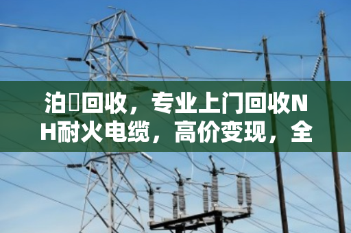 泊祎回收,专业上门回收NH耐火电缆,高价变现,全国服务 泊祎回收,专业上门回收NH耐火电缆,高价变现,全国服务