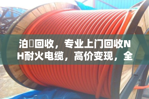 泊祎回收，专业上门回收NH耐火电缆，高价变现，全国服务
