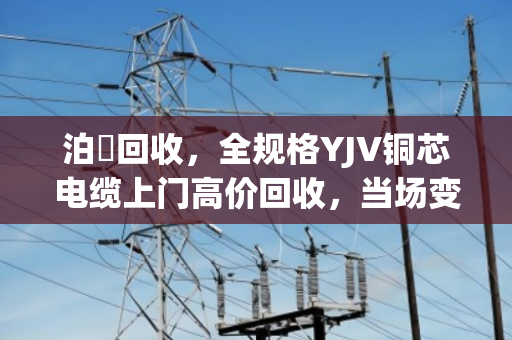 泊祎回收，全规格YJV铜芯电缆上门高价回收，当场变现