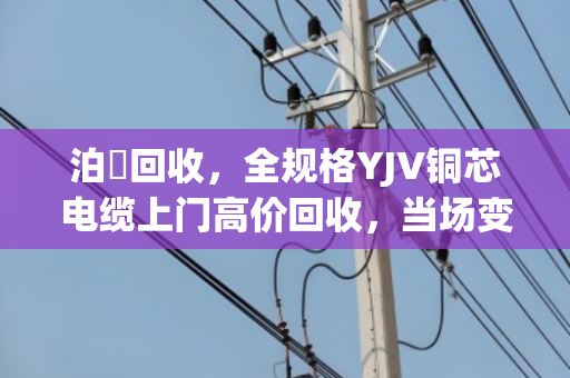 泊祎回收，全规格YJV铜芯电缆上门高价回收，当场变现