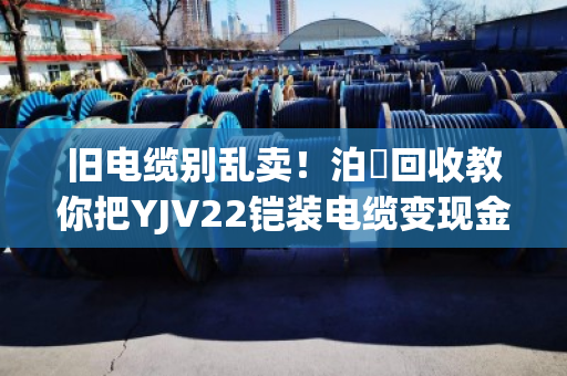 旧电缆别乱卖！泊祎回收教你把YJV22铠装电缆变现金