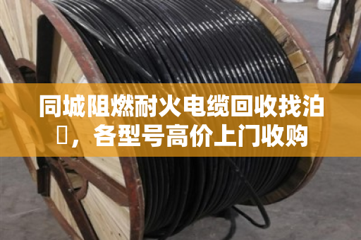 同城阻燃耐火电缆回收找泊祎,各型号高价上门收购 同城阻燃耐火电缆回收找泊祎,各型号高价上门收购
