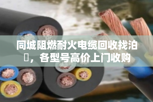 同城阻燃耐火电缆回收找泊祎,各型号高价上门收购 同城阻燃耐火电缆回收找泊祎,各型号高价上门收购