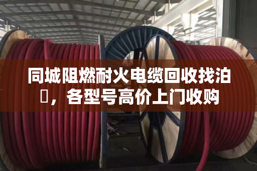 同城阻燃耐火电缆回收找泊祎，各型号高价上门收购