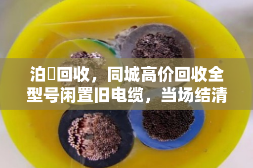 泊祎回收,同城高价回收全型号闲置旧电缆,当场结清 泊祎回收,同城高价回收全型号闲置旧电缆,当场结清