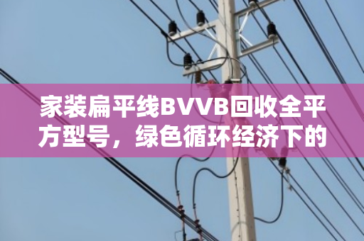 家装扁平线BVVB回收全平方型号，绿色循环经济下的资源再生新路径