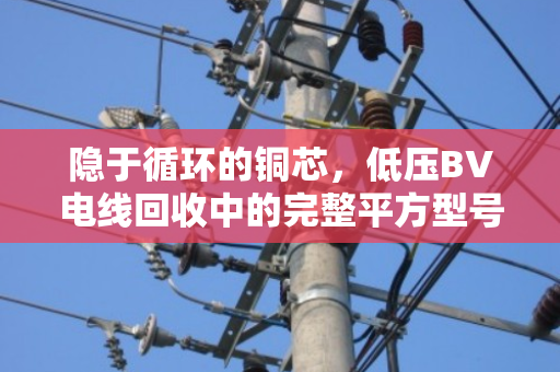 隐于循环的铜芯，低压BV电线回收中的完整平方型号商业密码