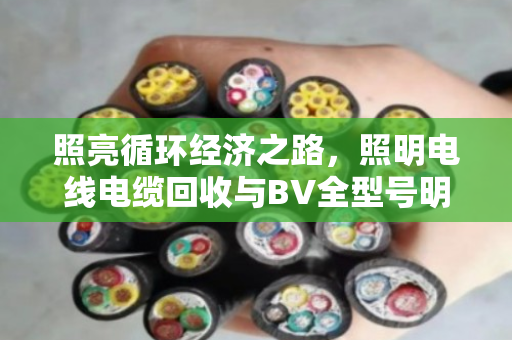 照亮循环经济之路，照明电线电缆回收与BV全型号明细的价值解析