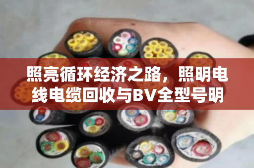 照亮循环经济之路，照明电线电缆回收与BV全型号明细的价值解析