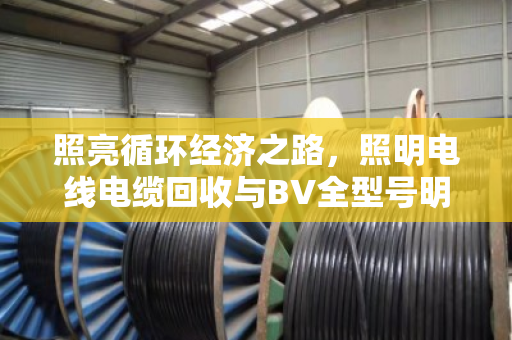 照亮循环经济之路，照明电线电缆回收与BV全型号明细的价值解析