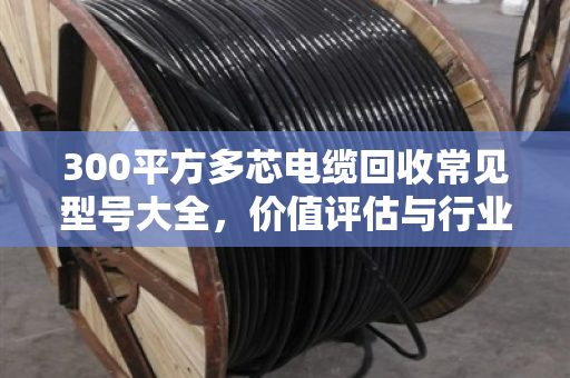 300平方多芯电缆回收常见型号大全，价值评估与行业洞察