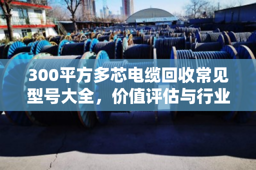 300平方多芯电缆回收常见型号大全，价值评估与行业洞察
