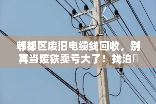 郫都区废旧电缆线回收，别再当废铁卖亏大了！找泊祎回收，高价上门现款结算