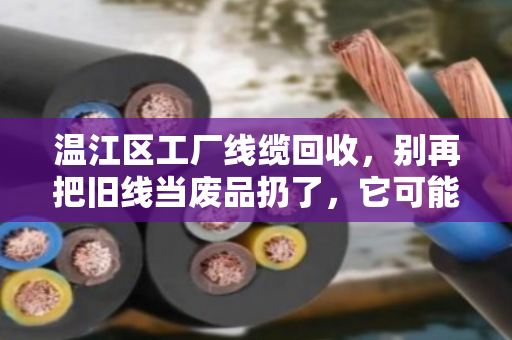 温江区工厂线缆回收,别再把旧线当废品扔了,它可能是你厂里的小金库 温江区工厂线缆回收,别再把旧线当废品扔了,它可能是你厂里的小金库
