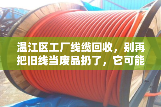温江区工厂线缆回收,别再把旧线当废品扔了,它可能是你厂里的小金库 温江区工厂线缆回收,别再把旧线当废品扔了,它可能是你厂里的小金库