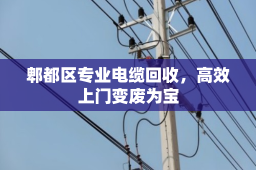 郫都区专业电缆回收，高效上门变废为宝