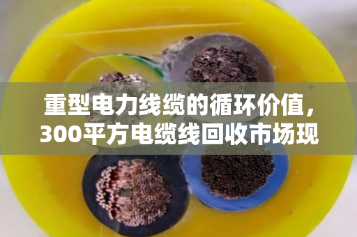 重型电力线缆的循环价值,300平方电缆线回收市场现状与价格影响因素深度解析 重型电力线缆的循环价值,300平方电缆线回收市场现状与价格影响因素深度解析
