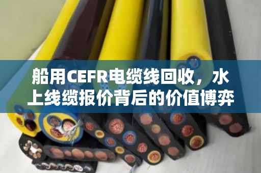 船用CEFR电缆线回收，水上线缆报价背后的价值博弈与绿色航运新机遇