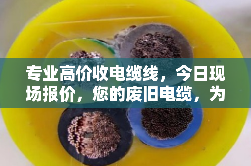专业高价收电缆线,今日现场报价,您的废旧电缆,为何能卖出真金价? 专业高价收电缆线,今日现场报价,您的废旧电缆,为何能卖出真金价?