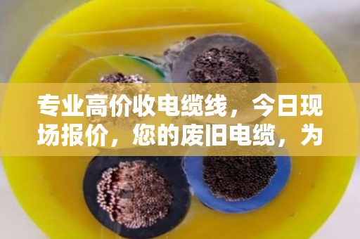 专业高价收电缆线，今日现场报价，您的废旧电缆，为何能卖出真金价？